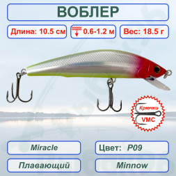 Воблер KYODA Miracle Minnow-105F 10,5 см 18,5 гр цвет P09, заглубление 0,6-1,2 м